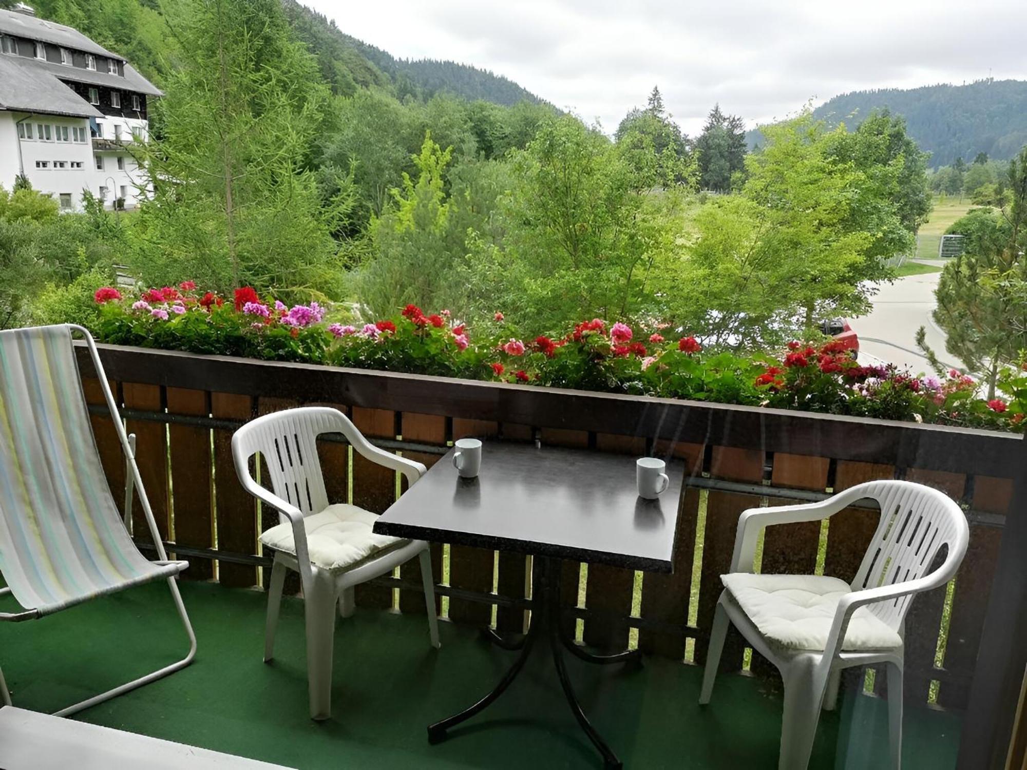 Naturidyll Am Fluss - Ferienhaus Albmatte - Grosser Garten Zum Grillen Und Entspannen-Direkt Neben Dem Radon Revitalbad Mit Sauna Und Thermalbecken 圣布拉辛 外观 照片