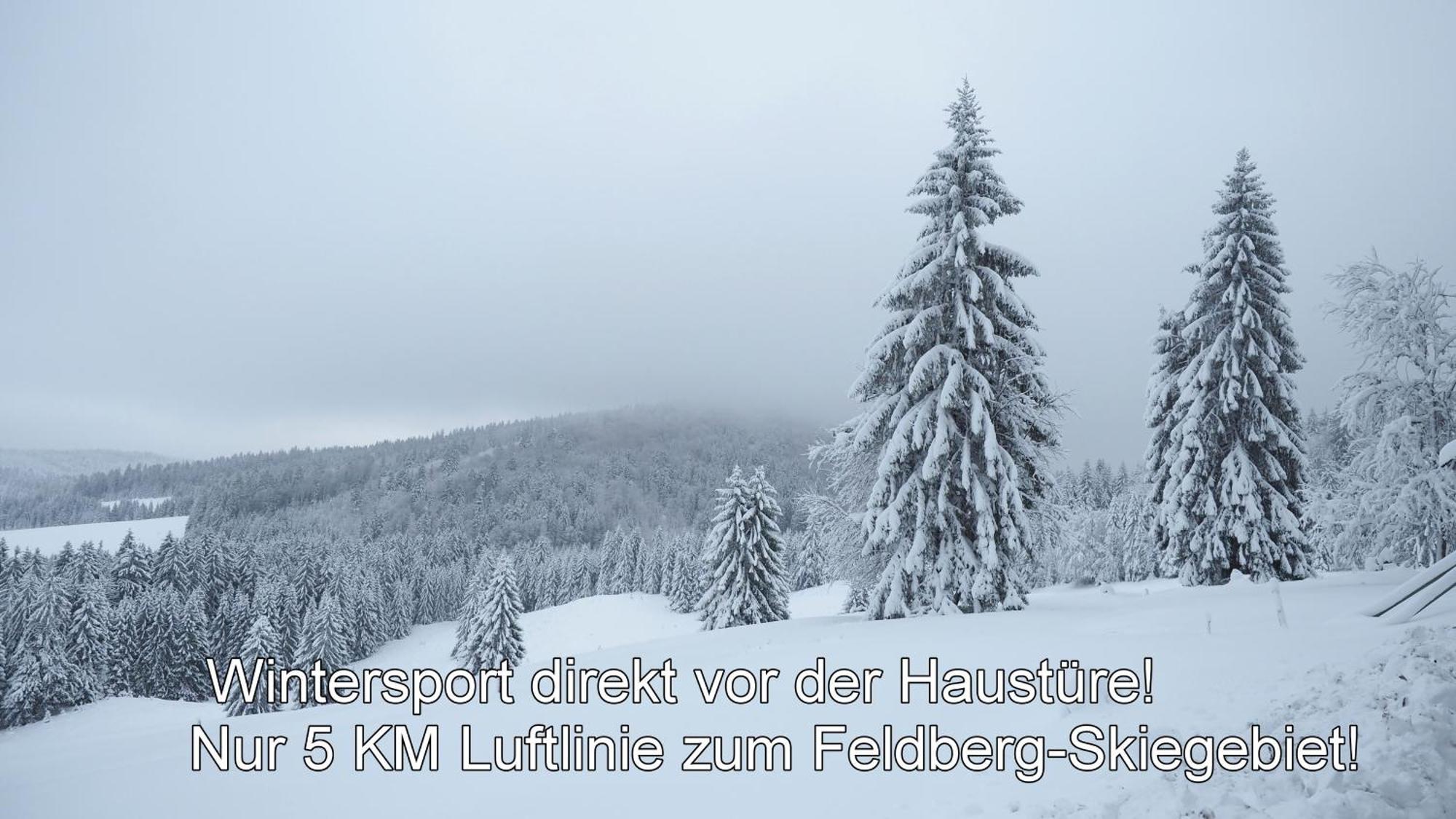 Naturidyll Am Fluss - Ferienhaus Albmatte - Grosser Garten Zum Grillen Und Entspannen-Direkt Neben Dem Radon Revitalbad Mit Sauna Und Thermalbecken 圣布拉辛 外观 照片